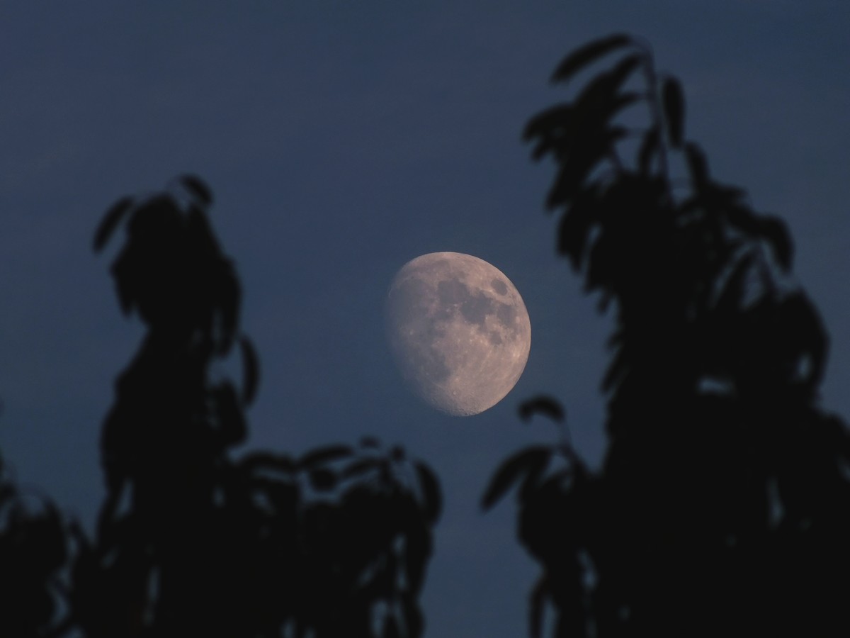 photo de lune gibbeuse